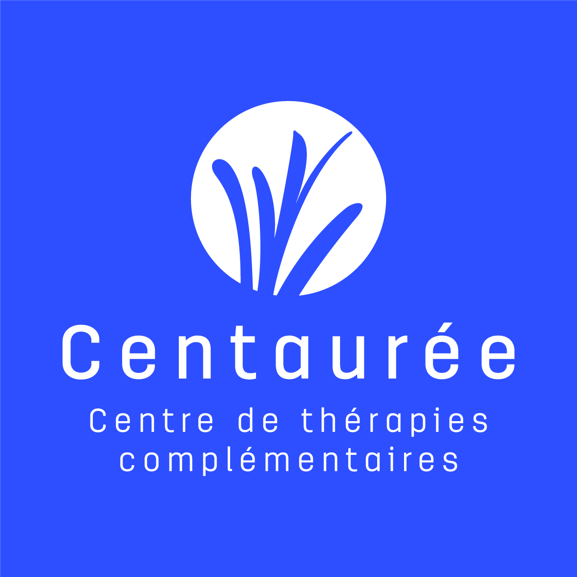 Logo blanc Centaure¦üe Fond couleur