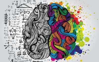 O 2ème cerveau : comment t’organises-tu entre haut potentiel et hypersensibilité