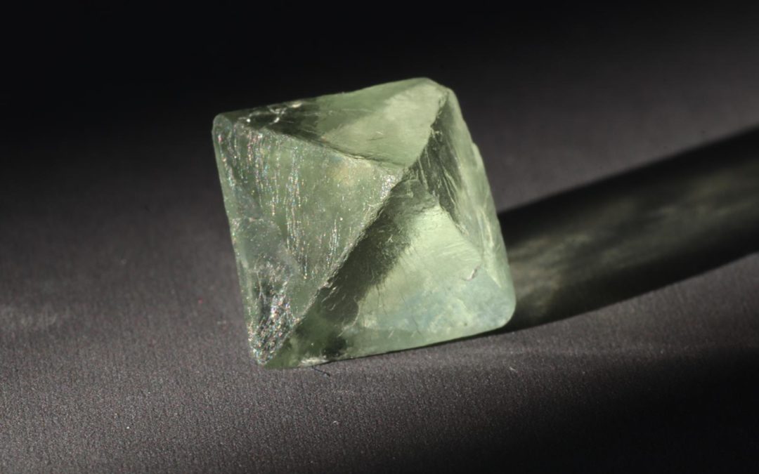 C’est quoi la naturopathie ?