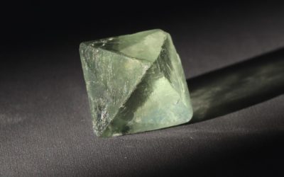 C’est quoi la naturopathie ?